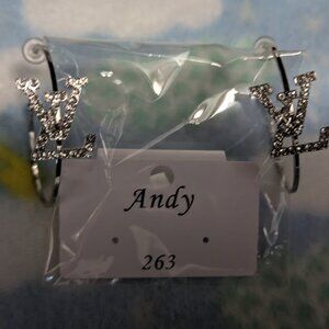 ~NWT Inspired Earrings Hoops (Beautiful)